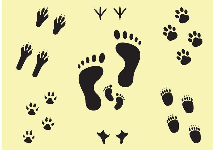 Trail tracks track steps silhouette rabbit pawprint collection paw next steps next isolated Human footsteps footprint collection footprint foot duck dog Claw child chicken cat black bird bear animal tracks animal 