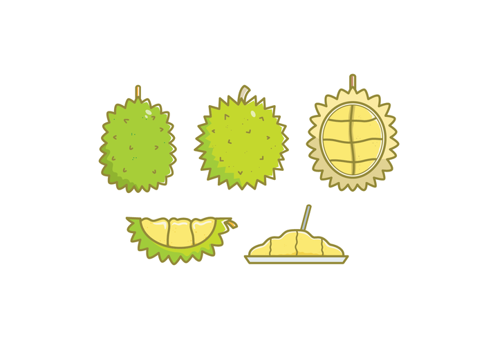 yellow tropical smelly organic natural Healthy green fruit fresh exotic durian delicious cartoon asia 