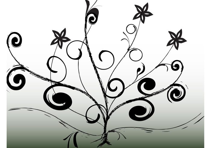 tree swirl stars spiral scrolls park nature growth growing free backgrounds flowers floral black and white abstract 
