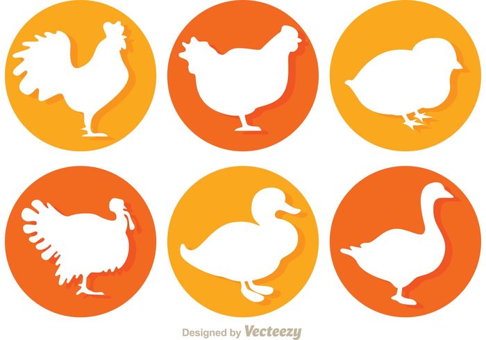 turkey silhouette rooster silhouettes rooster silhouette rooster poultry hens hen silhouette Hen Geese Fowl farm animal farm duck bird animal silhouette animal 