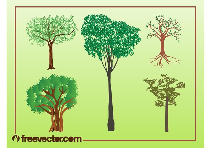 trunks trees Tree vectors summer spring plants park nature leaves forest ecology branches 
