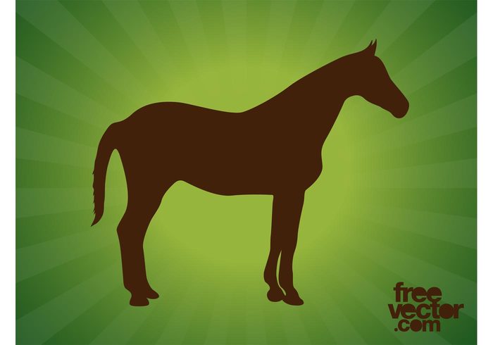 tail silhouette nature mane Livestock horse fauna farming equestrian ears Domesticated animal animal 
