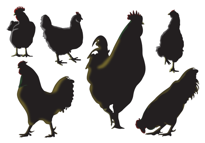 wings silhouettes silhouette roosters rooster silhouette rooster poultry nature meat Livestock isolated farm animals silhouette farm animal farm cockerel cock chicks chickens chicken chick animal agriculture 