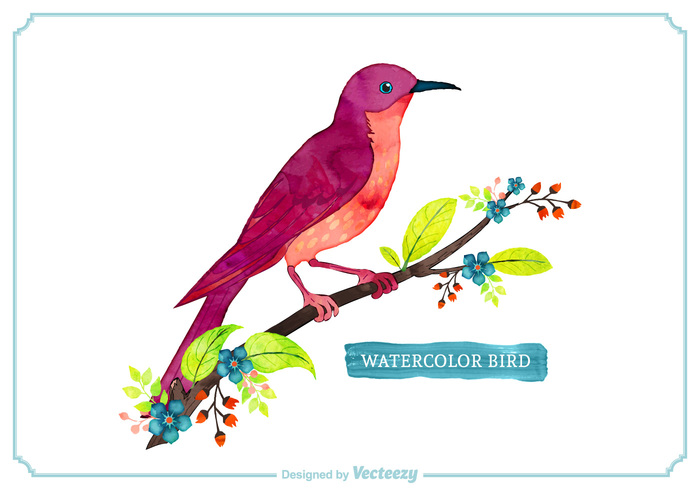 wildlife White Background watercolor style vector spring flowers spring season orange nature Multicoloured multicolored leaves isolated ink illustration green flowers flower floral feather fauna EPS cute Colourful Colour colorful color cherry blossom branch blue birdnature bird beauty art animal 