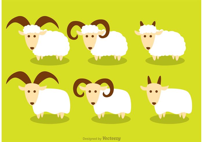 woolly wool sheep isolated sheep pet mammal Livestock isolated horned sheep farm Domestic country cotton character cattle cartoon big horned sheep animal agriculture adorable 