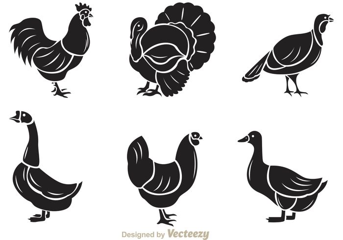 turkey silhouette rooster silhouettes rooster silhouette rooster poultry hens hen silhouette Hen Geese Fowl farm animal farm duck bird animal silhouette animal 