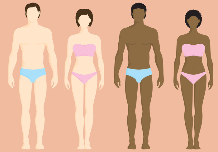 woman underwear standing person people panties muscle model man and woman silhouettes man and woman silhouette man male lingerie knickers isolated Ideal Human Healthy health handsome guy girl gender fitness fit figure female fashion comparison Caucasian body type body shape body parts body Biology attractive anatomy 