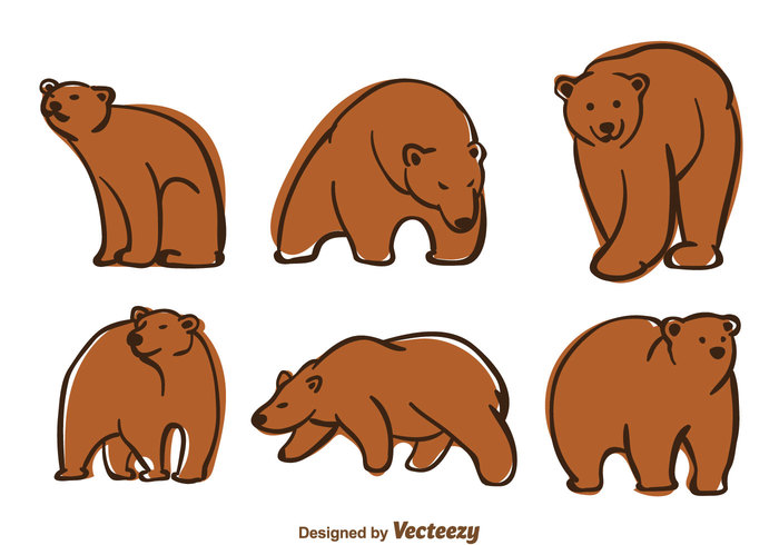 wildlife wild predator nature mammal Grizzly forest cartoon brown big bear vectors Bear vector bear animal 
