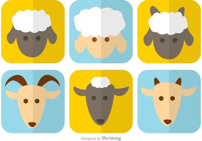 woolly wool traditional sheep isolated sheep head sheep face sheep pet mammal Livestock isolated goat sheep goat head goat farming farm Domestic country cotton character cattle cartoon animal agriculture 