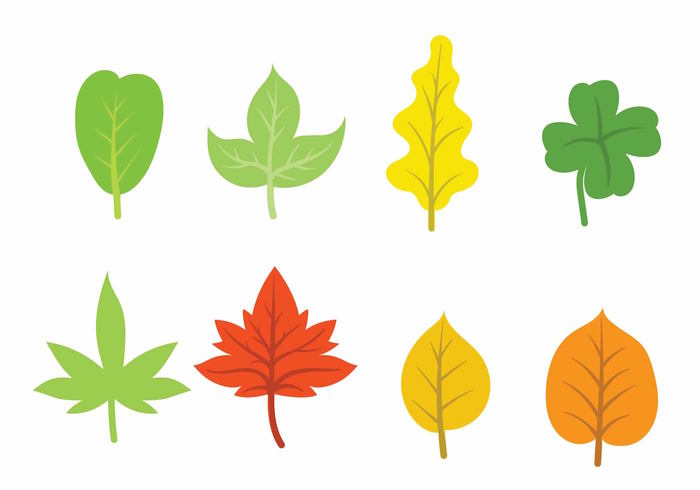 tree template symbol summer spring set season plant organic nature natural maple leaf hojas growth green garden fresh environment element eco decoration collection botany bio background 