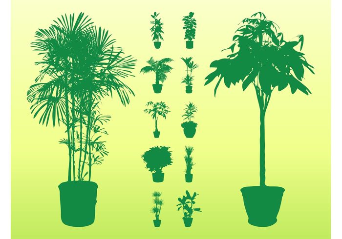 trunks trees Stems silhouettes silhouette Potted plants potted pots plants plant palms nature leaves leaf interior House plants flora 