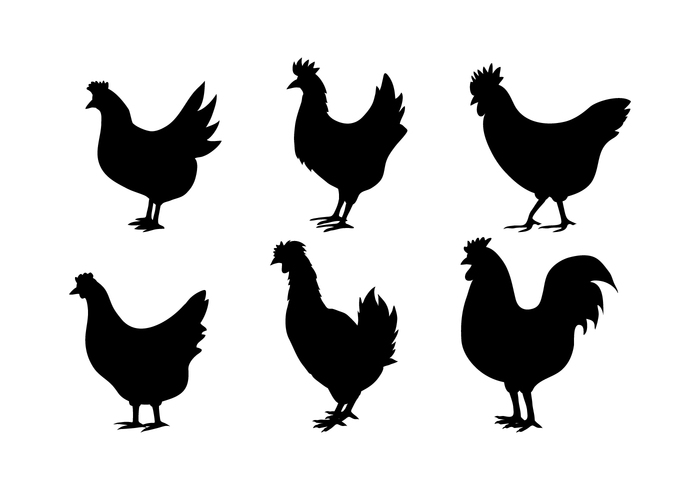 silhouette shape roosters rooster silhouette hens hen silhouette Hen farm animals farm animal silhouette farm animal chickens chicken silhouettes chicken silhouette chicken black white black 