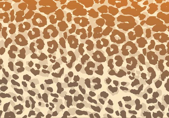 wildlife wild textured texture Textile spots skin safari print pelt pattern nature material mammal leopard patterns leopard pattern leopard leather exotic Coat cat Carnivore camouflage brown background animal african africa 