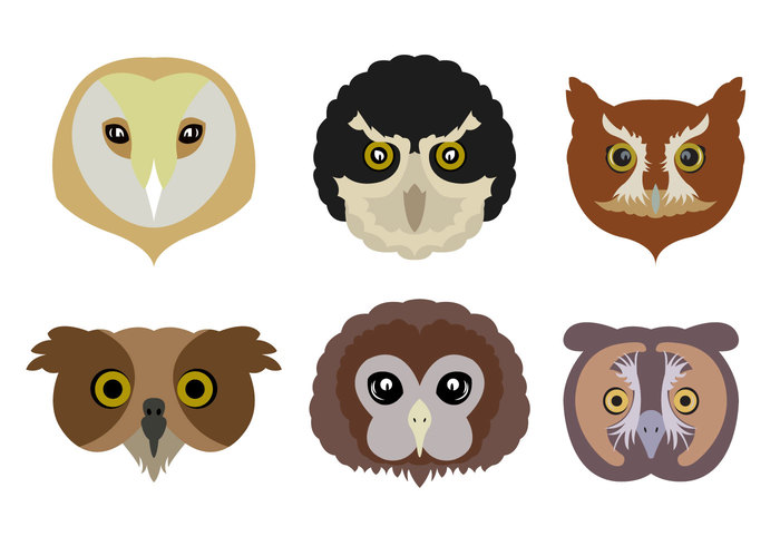 wise wildlife wild symbol Species set owls owl face owl Outdoor Nocturnal nature flying character branch black bird barn owls barn owl barn animal  
