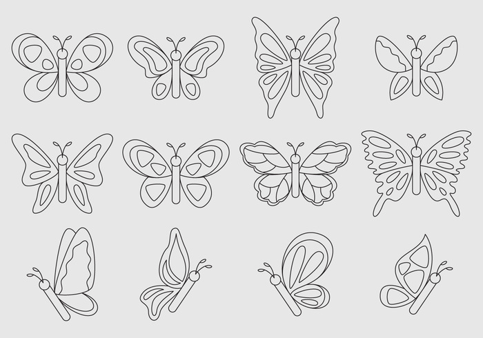 winged wing wildlife wild summer spring outline nature natural moth monarch May line isolated insect fly environment cartoon butterfly cartoon butterfly cartoon butterfly animal 