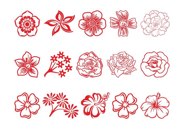 spring roses rose plants plant outlines nature hibiscus flowers flower floral blossoms blossom bloom 