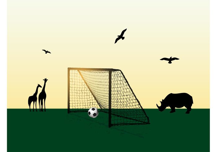 wildlife sunny sport soccer silhouettes safari rhino grass giraffes game field door birds ball animals 