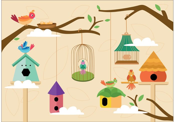 Zoo wing wild nest nature fly cute colorful cage birds bird in nest bird house bird cage bird Baby bird animal 