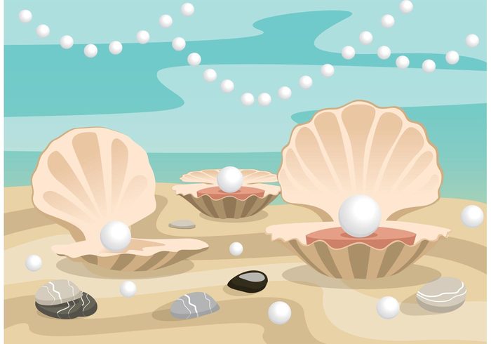 tropical summer shellfish shell sea scenic sand perl pearl shells pearl shell background pearl shell pearl paradise jewels jewelry colorful clam shells clam blue beach background 