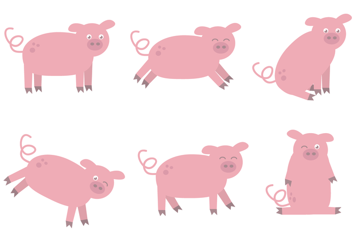 Swine Snout pork pigs piglets piglet pig roast pig pet peppa pig pepa pig live stock food farming farm cute Companion barn animals animal agriculture 