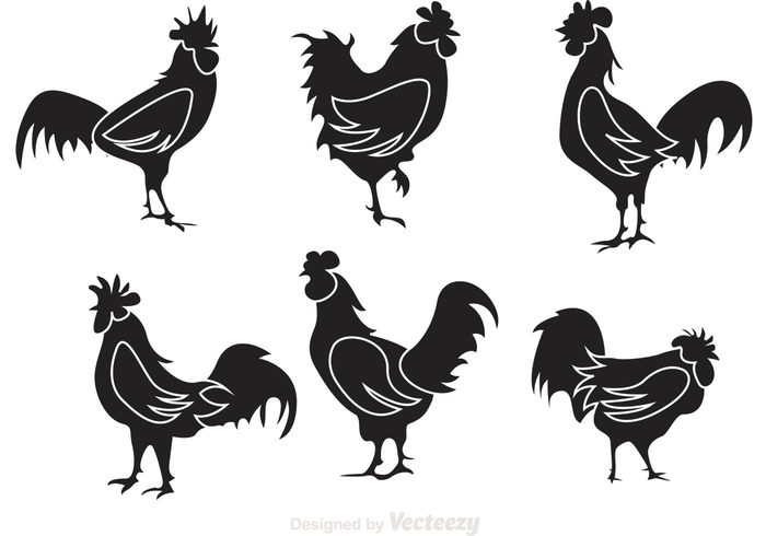 silhouette rooster silhouettes rooster silhouette rooster poultry hens hen silhouette Hen Fowl farm animal farm Claw chicken black bird silhouette bird beak animal 