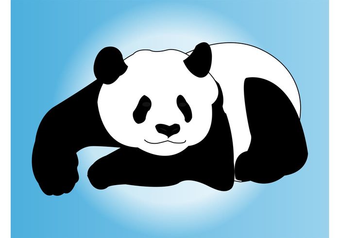 wildlife wilderness wild panda bear panda Lazy fauna ecology cute cartoon black and white bear animal 