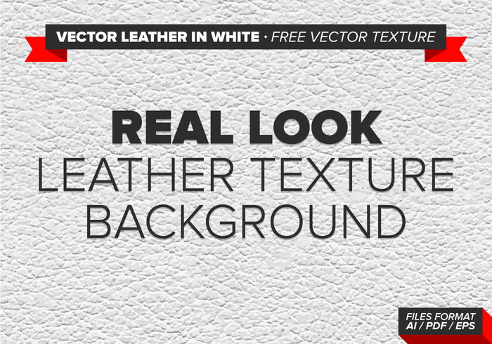 texture skin real look Real leather texture leather background leather background animal skin animal leather animal 