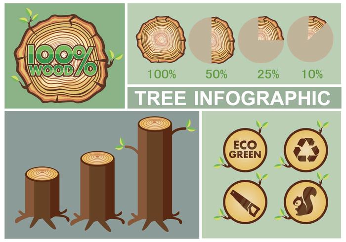 Years xilem vector tree rings tree ring tree textur squirell skin saw ring recycle pie chart leaf infographic floem eco candle bar candel bar 