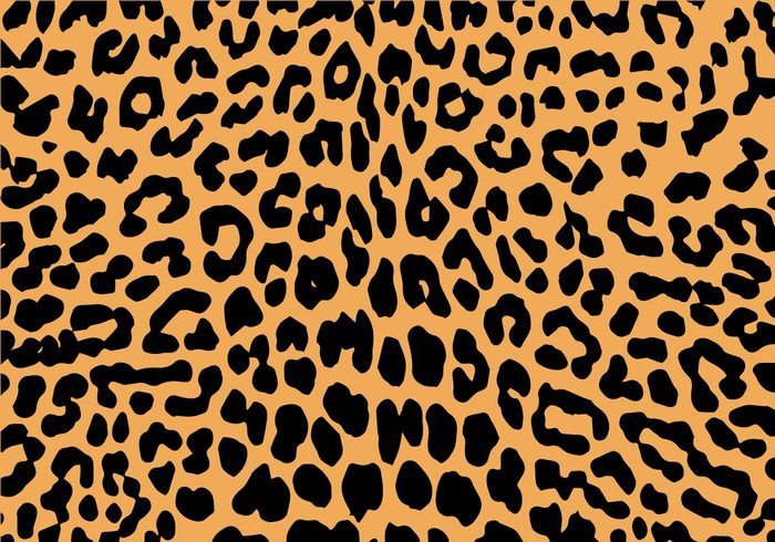 wild wallpaper Spot skin seamless safari repeat print pattern mammal leopard wallpaper leopard patterns leopard pattern leopard background leopard jaguar fur dots cat brown background animal skin animal pattern animal 