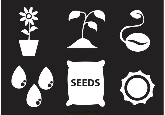 water drop water drip water tree Sun flower sun sprouting seed seeds seedling seed packet seed icon seed plant organic nature harvest growing grow gardening garden icon garden farming farm 
