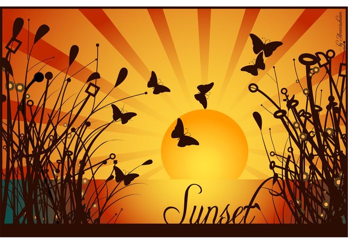 yellow wallpaper vector sunset sun summer season plants illustration graphic free vector floral element editable design butterflies 