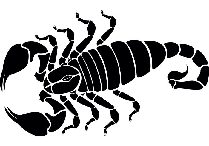 zodiac scorpion horoscope black animal 