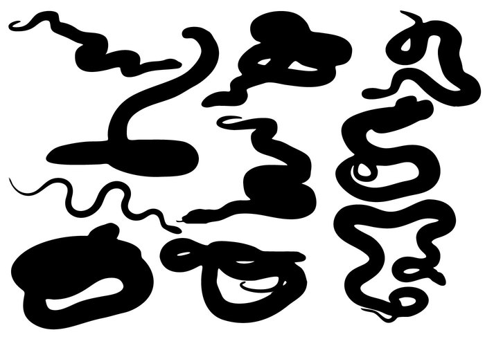 zodiac wildlife symbol snake silhouette sign reptile profile Poisonous pets large isolated illustration group fang danger curve Crawling collection Cobra animal 