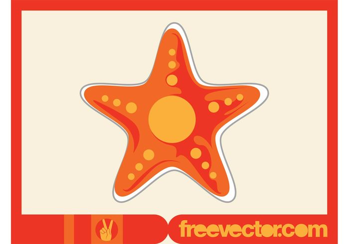 sticker starfish star Sea star sea marine icon fauna comic cartoon Aquatic animal 