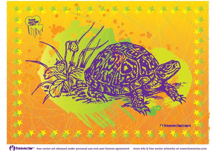 turtle tropical Tortoise stars Slow shell reptile plants nature monster grunge engraving Crawling animal 