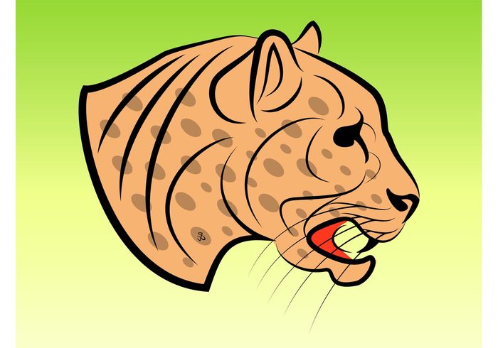 wild strong smart Puma jaguar icons graphics fast exotic Dangerous danger cat attack animal africa 