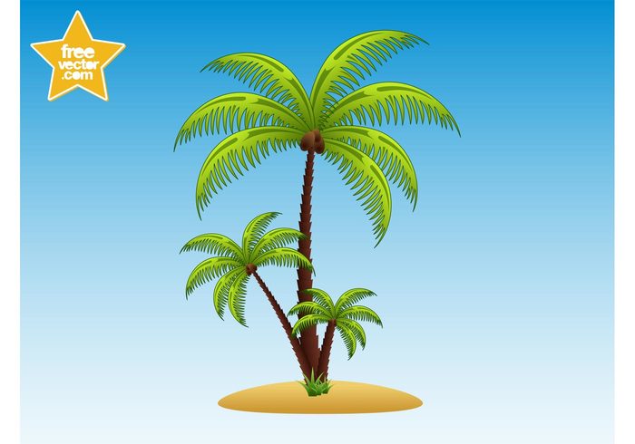 tropical trees tree sand plants plant palms palm leaves leaf exotic coconut 