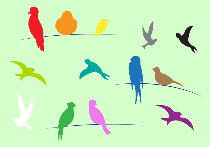 wire swallow silhouette pigeon Outdoor lory line group fly flock fauna cute crow colorful cable birds on wire birds bird animal 