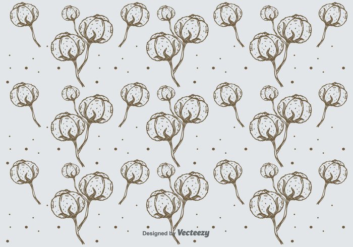 white vector soft plant organic nature natural material cotton plant hand drawn free fluffy fabric element decoration cotton plant cotton branch background  