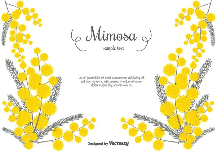 yellow vector tree mimosa leaf illustration hand drawn free flower floral brunch bouquet botanical blossom background  
