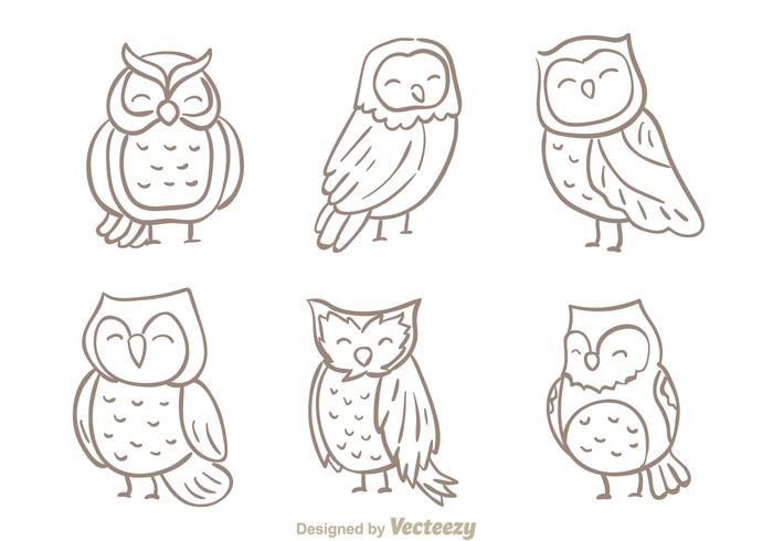 sketch owls owl natute fur fly fauna draw doodle cute character bird barn owls barn owl barn animal 