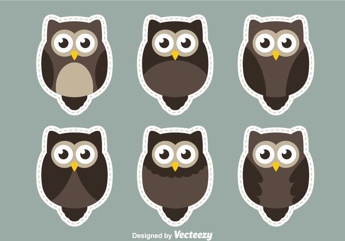 wing stiker owl fur fly feather face eye cute character bird barn owls barn owl barn animal 