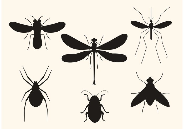wing wild spider nature isolated insect silhouette insect fly dragonfly dragon fly bug silhouette bug black beetle bee animal silhouette animal 