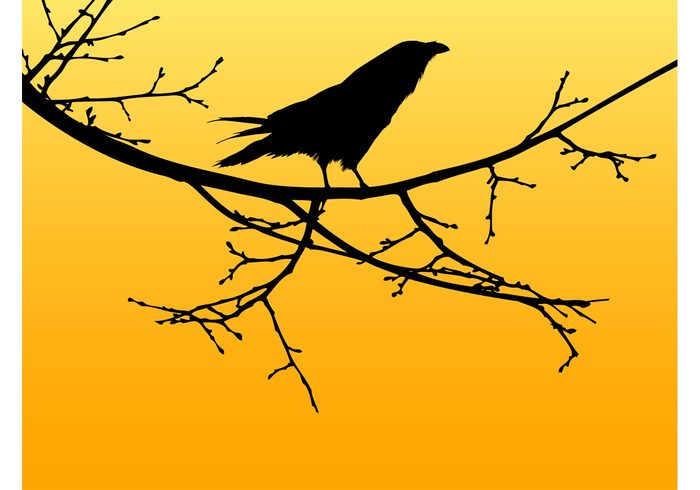twigs tree silhouettes raven nature halloween crow branches bird animal 