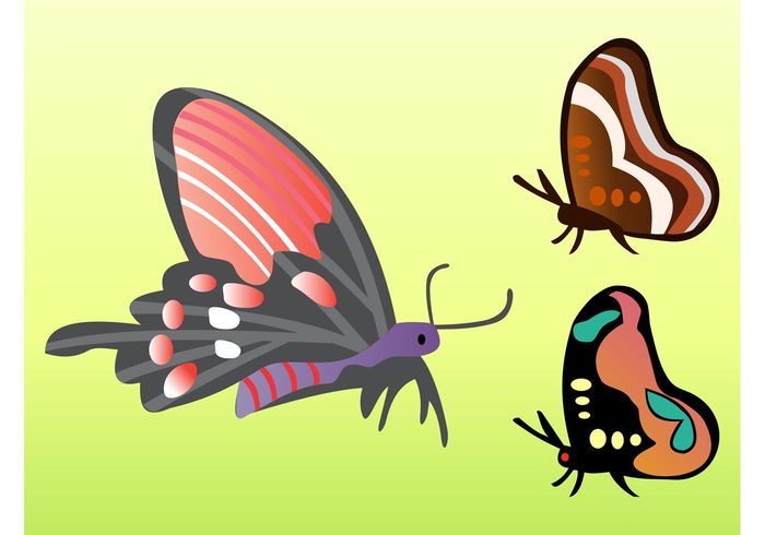 wings spring nature multicolored insects fly fauna colorful cartoon butterflies antennas animals 