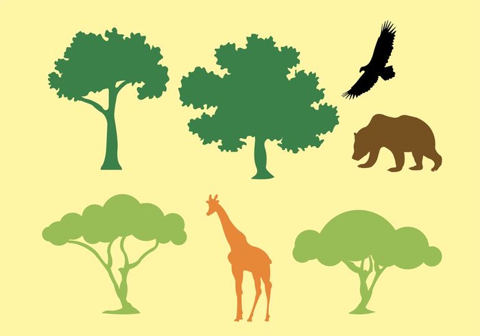 trunk trees tree silhouette shape plant oak tree silhouettes oak tree silhouette oak tree oak leaf growth green giraffe eagle deciduous branch botany bear acacia 