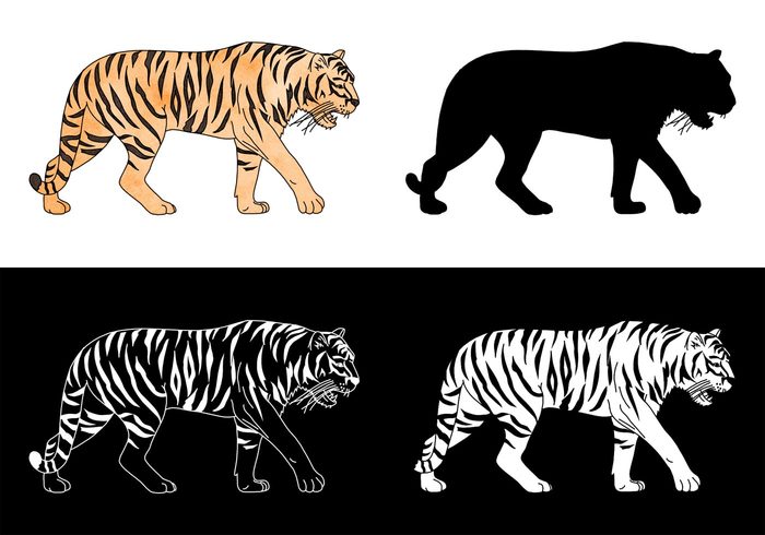 wildlife Wildcat wild white watercolour watercolor vector tribal tiger silhouette tiger tattoo stylish striped strength Single silhouette sign Siberian shape powerful power painting orange one nature monochroom mammal male jump isolated graphic fur design decoration cat Carnivore black bengal animal  