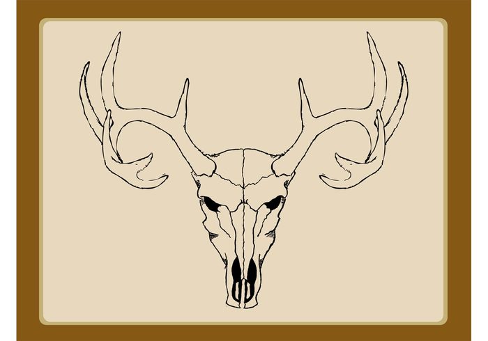 wildlife wilderness wild tattoo sketch scary nature hunting hunter horns head Etch deer death dead cool antlers animal  