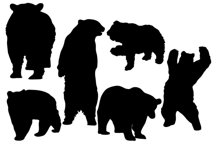 wildlife wild silhouette scary predator powerful nature mammal life illustration Grizzly fur forest carnivorous big Bear vector bear art animal Adult abstract 