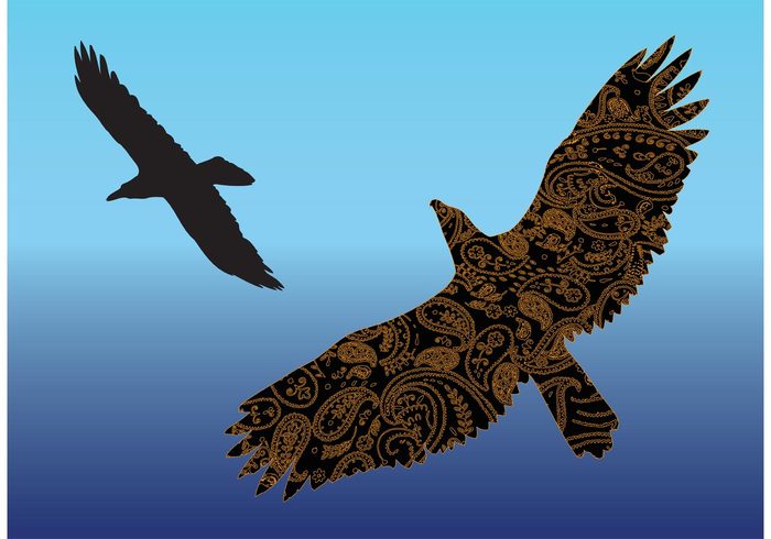texture sky shape seagull poster paisley ornament lace high freedom fly eagle decoration curve birds bird of prey air 
